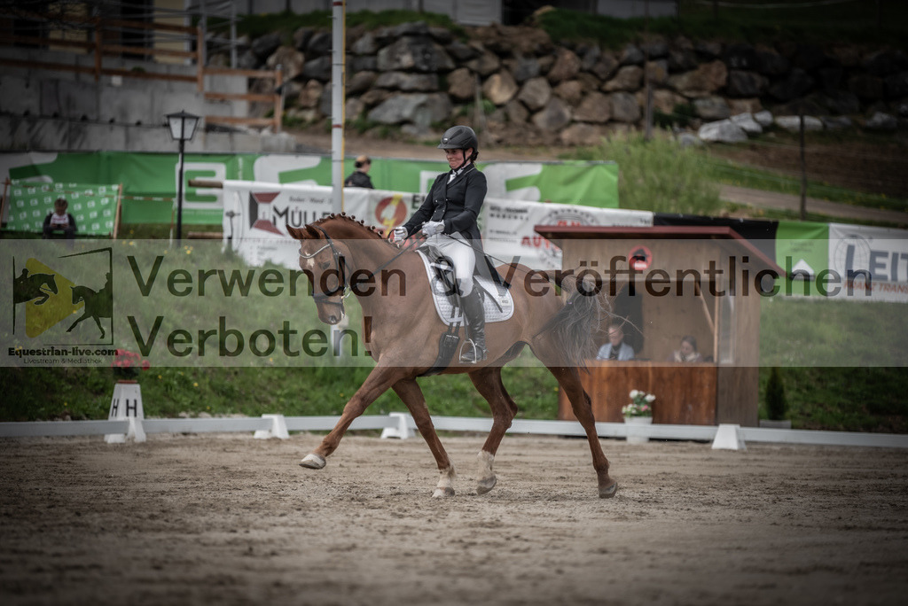 DSC_2502 | equestrian-live-com