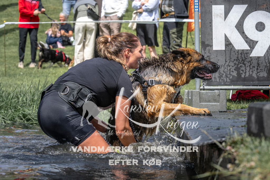 1159_ZZ94621 | kk-dogfotos