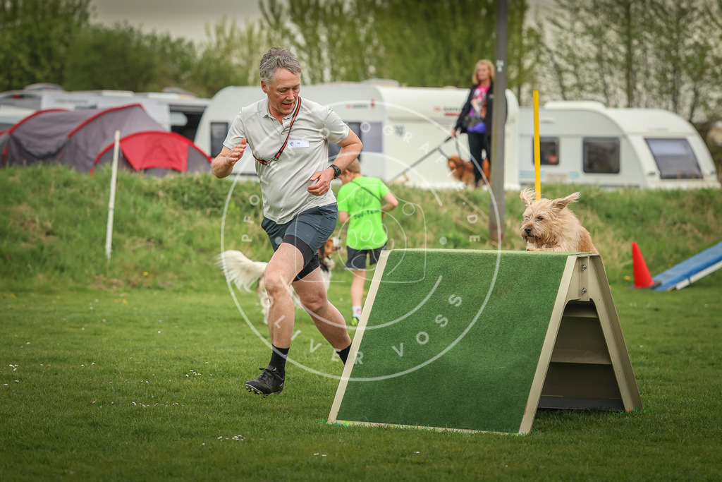 Pfotenfotografie_0L8A0992 | Hundefotografie, Tierfotograf, Pfotenfotografie, Fotoshooting Hund, Hunde Portrait, Hundesport, Hundeportraits, Heideshooting, Hunde, Sportfotograf, Hundefotograf, Turnierhundsport, THS,  - Realisiert mit Pictrs.com