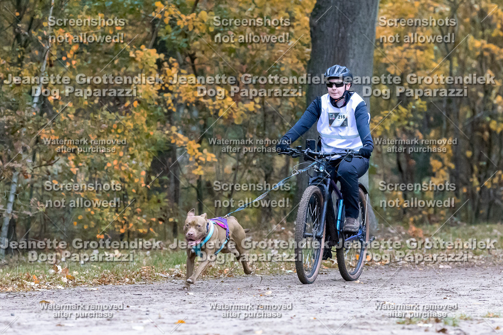 Dog Paparazzi - SD CaniX Championship 2025-249 | Dog Paparazzi Jeanette Grottendiek Fotografie & Videografie - Realisiert mit Pictrs.com