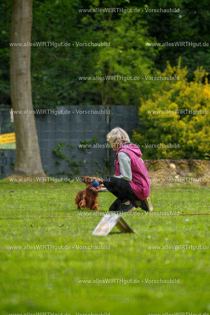 @allesWIRTHgut_Tierfotografie - www.allesWIRTHgut.de - 091105-7R506704 | Professionelle Tierfotografie in Mönchengladbach von Daniel Wirth (allesWIRTHgut). Liebevolle & natürliche Bilder von Hunden & Katzen für unvergessliche Erinnerungen.