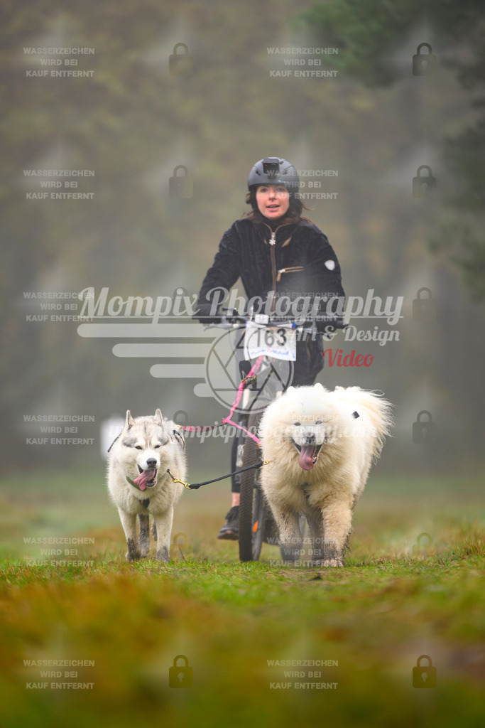 MompixPhotography_Bischwiller2025_Scooter-14 | mompixphotography