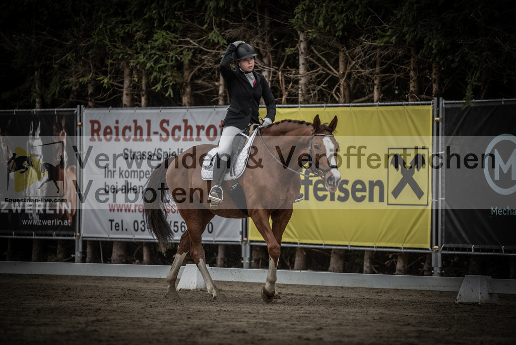DSC_9712 | equestrian-live-com