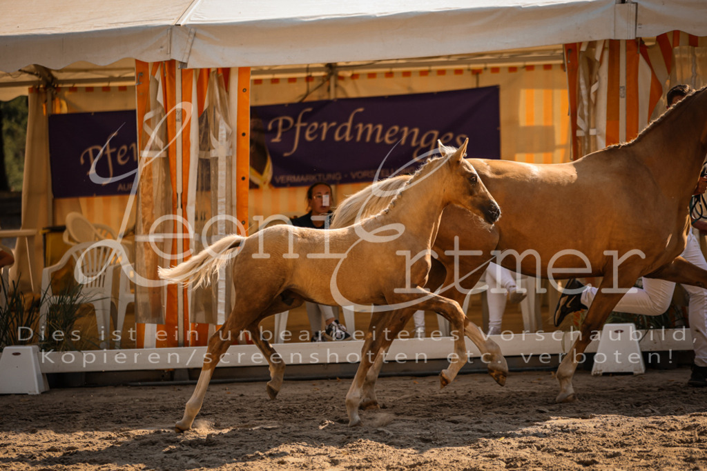 11.DoRP00104 | Leoni Ertmer Photography - Realisiert mit Pictrs.com