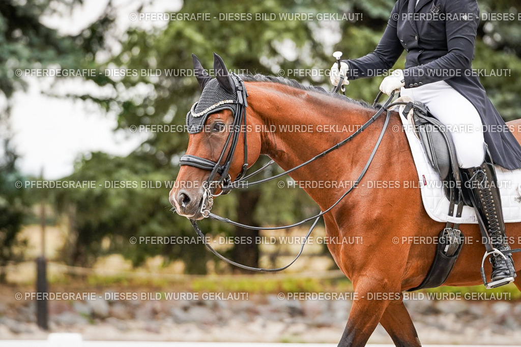 DSC07322 | Pferdegrafie