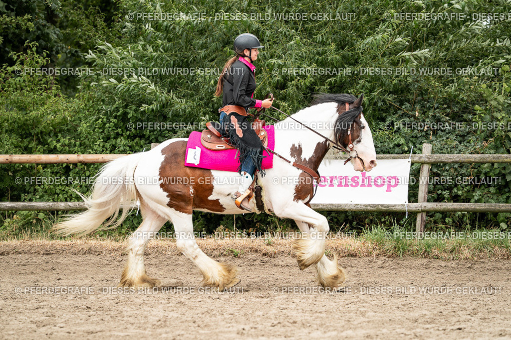 DSC01326 | Pferdegrafie