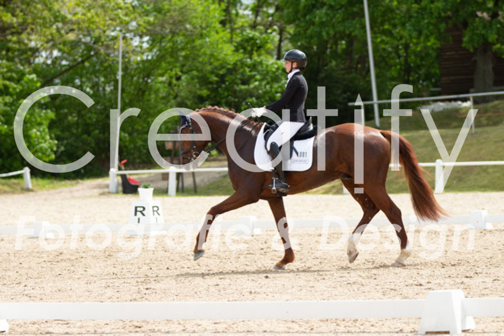 IMG_2525 | Creatify Fotografie