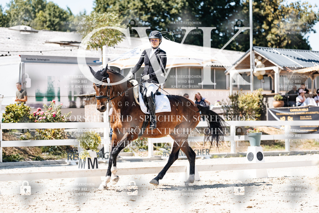 CK900420 | Turnierfotografie Pferdefotografie Trier Rheinland-Pfalz Pferdesport Reitsport Tierfotografie Sportfotografie Pferdevideo Pferdevideografie Equestrianvideography equestrianphotography  - Realisiert mit Pictrs.com