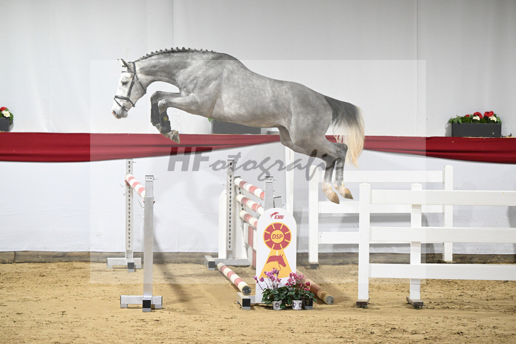Kat-Nr. 44 v. Karajan_Mueller_63221057 | hf-fotografie - Realizzato con Pictrs.com