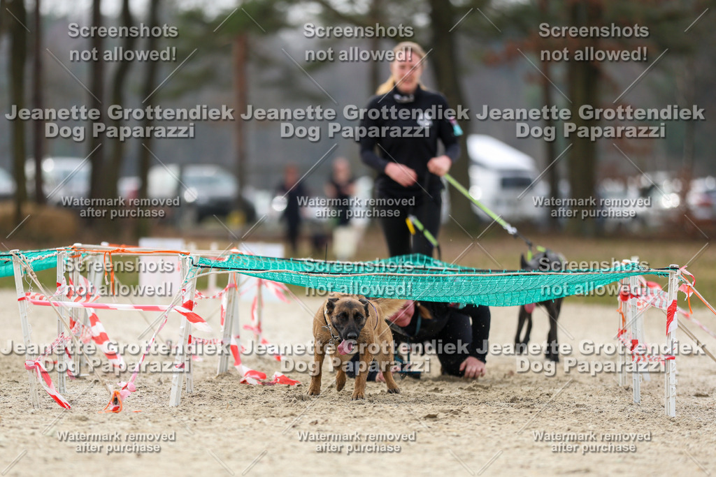 Dog Paparazzi - Strongdog North Mrz26-5645 | Dog Paparazzi Jeanette Grottendiek Fotografie & Videografie - Realisiert mit Pictrs.com