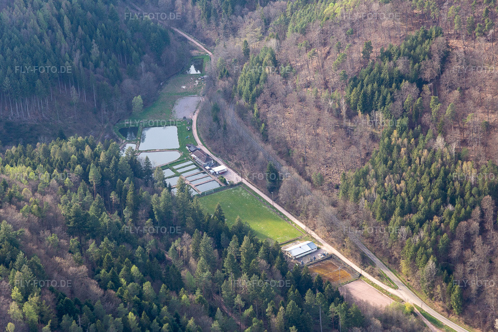 Luftbild: Pfälzer Wald Forellen Inh. Stefan Erber in Eußerthal im Bundesland Rheinland-Pfalz in Deutschland. – Foto: IMG_131123.jpg vom 12.04.2022 durch Werner Riehm/FLY-FOTO.de – Auflösung des Originals: 5472 x 3648 px – Pfälzer Wald Forellen Petrihof Angler-Park