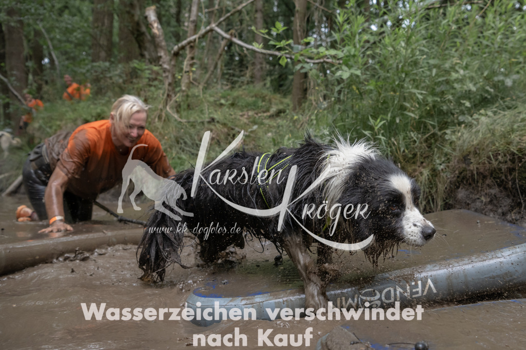1342_ZZ95496 | kk-dogfotos