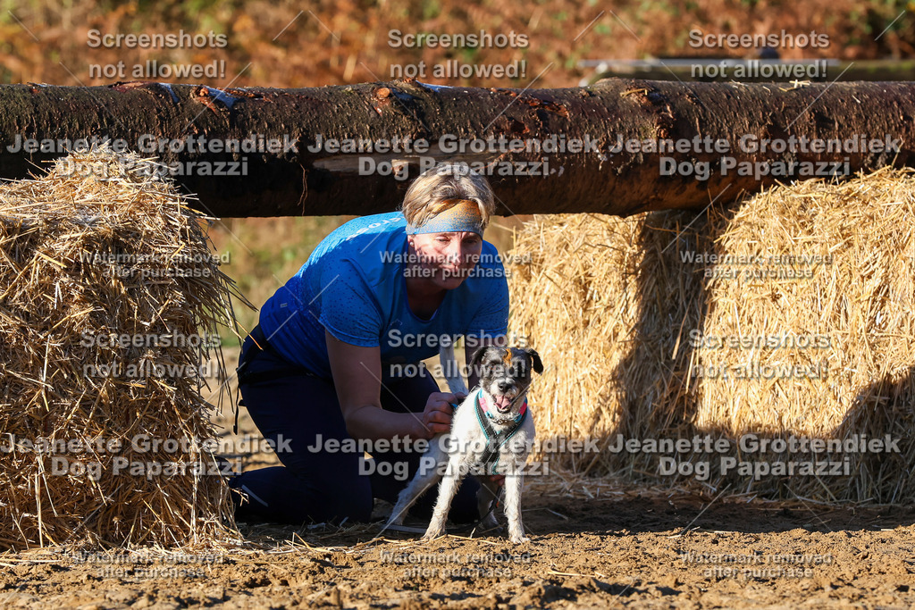 Dog Paparazzi - Strongdog 10-25-1045 | Dog Paparazzi Jeanette Grottendiek Fotografie & Videografie - Realisiert mit Pictrs.com