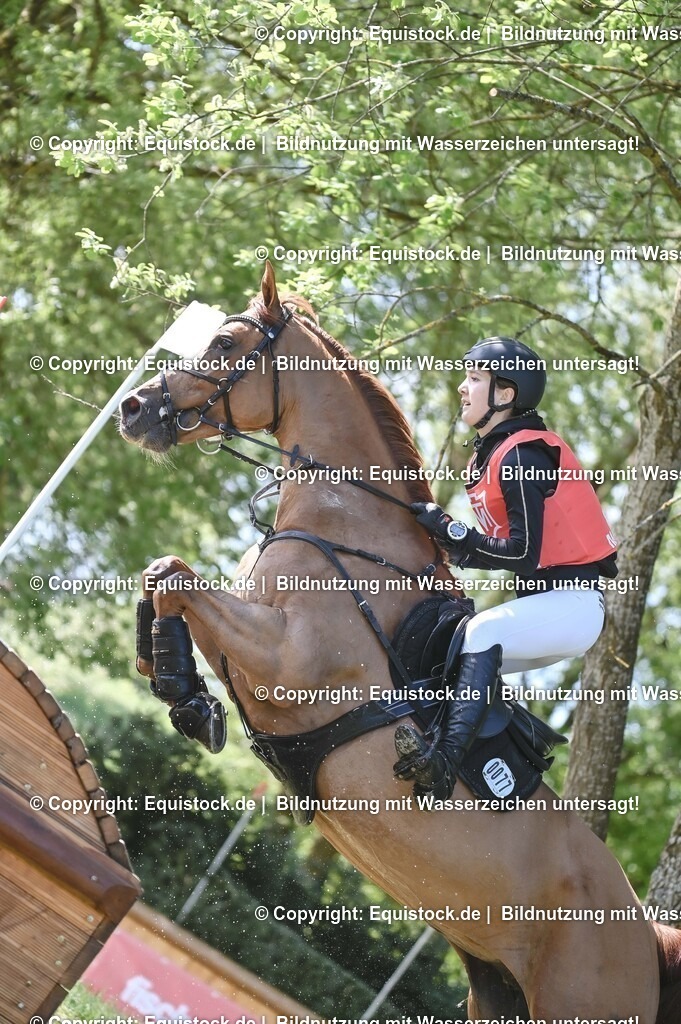 20250517_CCI2_Gelände_0877 | Foto: Thomas Hartig