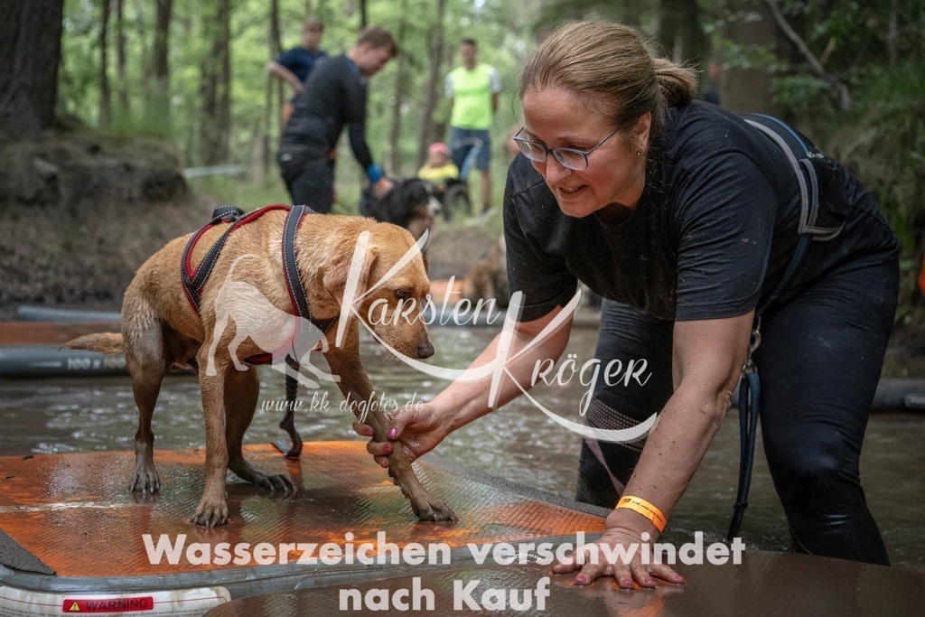 1204_ZZ96816T | kk-dogfotos
