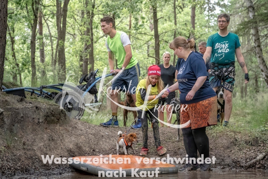 1206_ZZ96951T | kk-dogfotos
