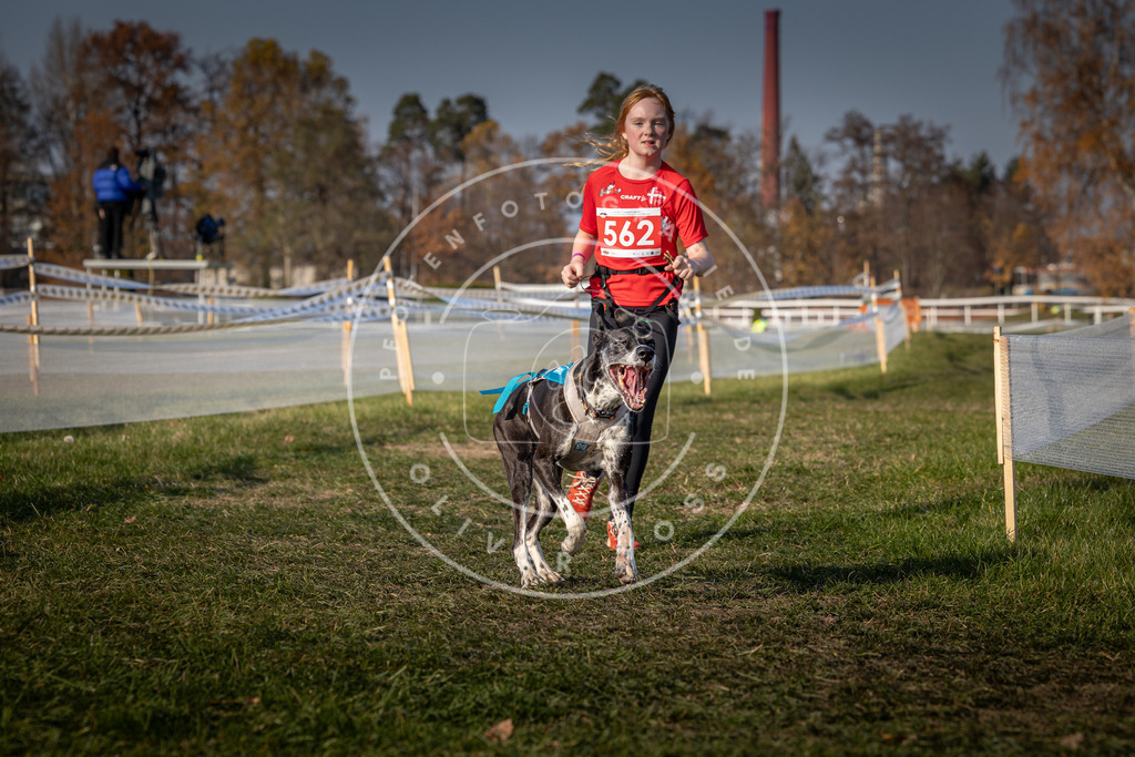 CaniXpix_0L8A9436 | Hundefotografie, Tierfotograf, Pfotenfotografie, Fotoshooting Hund, Hunde Portrait, Hundesport, Hundeportraits, Heideshooting, Hunde, Sportfotograf, Hundefotograf, Turnierhundsport, THS,  - Realisiert mit Pictrs.com