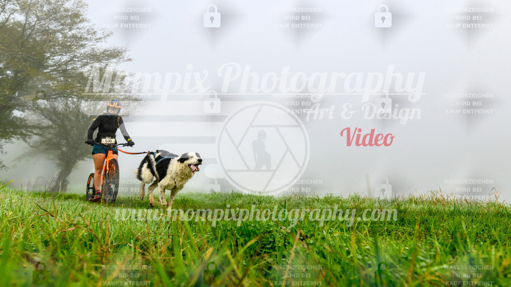 MompixPhotography_20TSB_E5_DS1-45 | PayLife