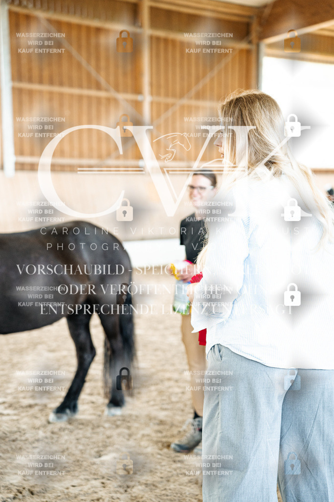 CK703229 | Turnierfotografie Pferdefotografie Trier Rheinland-Pfalz Pferdesport Reitsport Tierfotografie Sportfotografie Pferdevideo Pferdevideografie Equestrianvideography equestrianphotography  - Realized with Pictrs.com