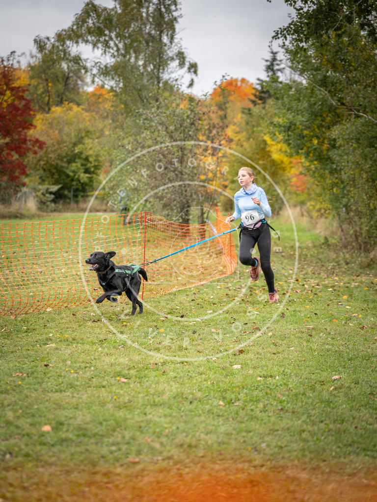 Pfotenfotografie_DV3A3371 | Hundefotografie, Tierfotograf, Pfotenfotografie, Fotoshooting Hund, Hunde Portrait, Hundesport, Hundeportraits, Heideshooting, Hunde, Sportfotograf, Hundefotograf, Turnierhundsport, THS,  - Realisiert mit Pictrs.com
