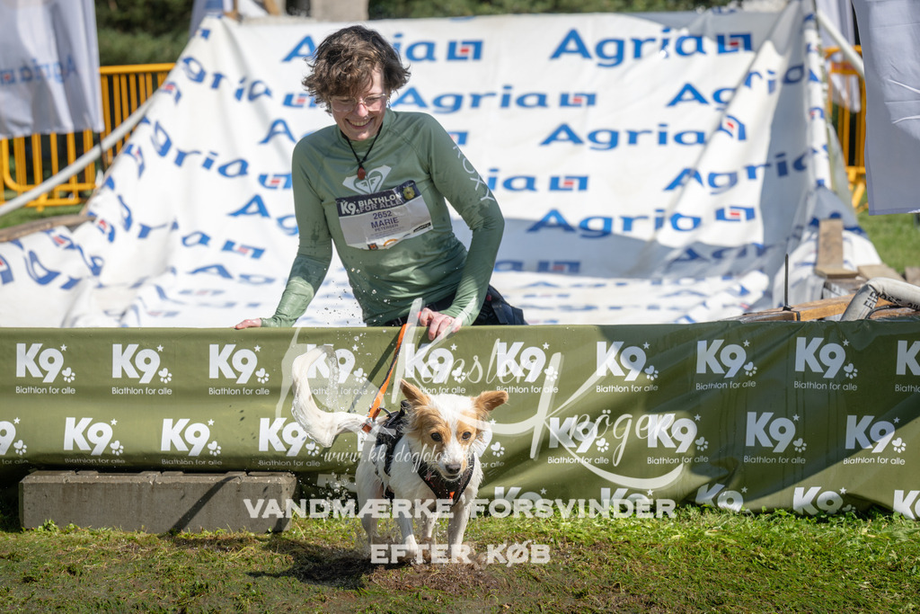 1209_ZZ95047 | kk-dogfotos