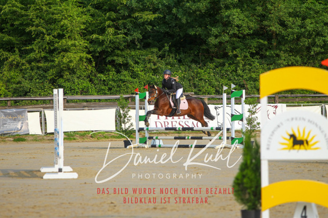 DKP40913 | Turniersportfotografie; Pferdefotografie; Dressurfotografie