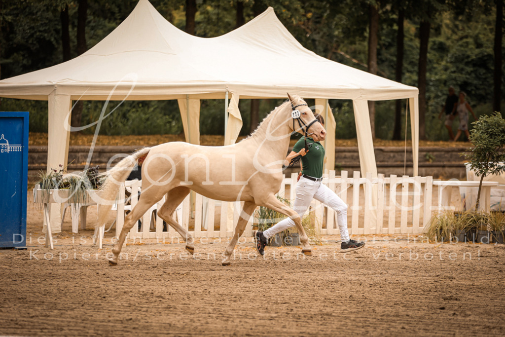 12.So00070 | Leoni Ertmer Photography - Realisiert mit Pictrs.com