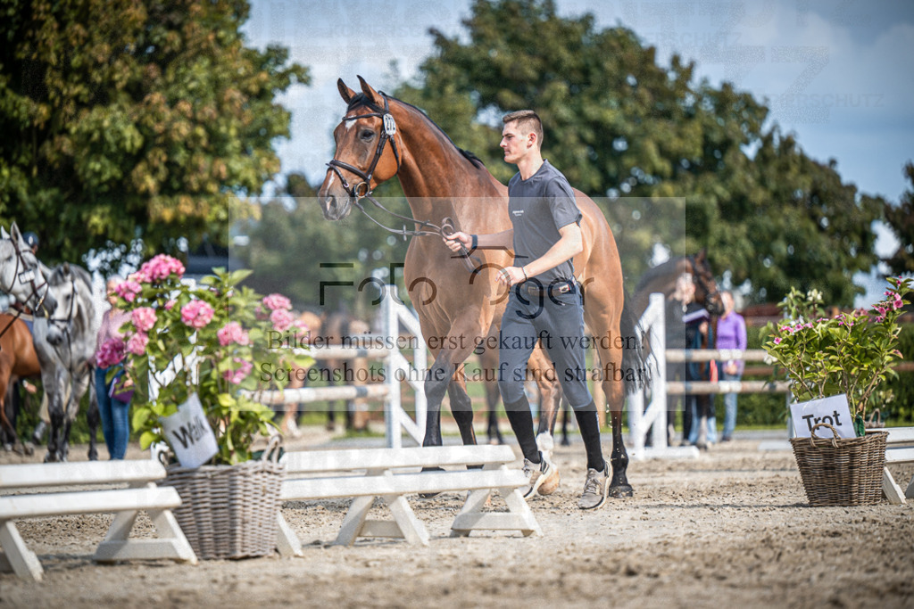 DOS_1669 | Entdecke hochwertige Reitturnierfotos von Foto Oger. Professionell, emotional und authentisch – jetzt Lieblingsmomente im Shop bestellen.Deutschlandweite Turnierfotografie. - Realisiert mit Pictrs.com