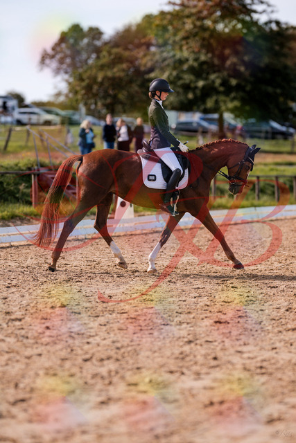 2026_10_03_Siefer-Hof_133213_Z81_88420983 | Professionelle Reitsport-, Turnier- und Eventfotografie von Robert Broda. Galerien mit ausgewählten und bearbeiteten Bildern direkt online ansehen und bestellen.