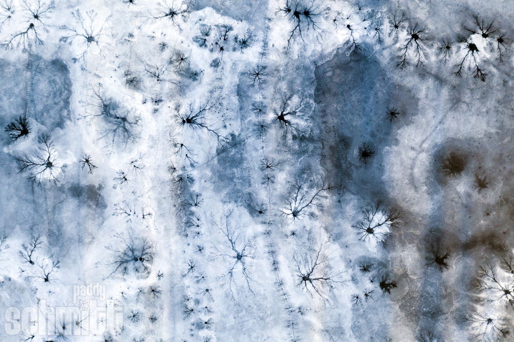 PS-Aerials-2026-48 | Entdecke die größte Bildgalerie der Region mit Fotografien aus dem Allgäu, der Bodenseeregion, Oberschwaben, dem Donautal und der Schwäbischen Alb. Landschaften, Luftaufnahmen und Reisefotografie als Wandbild und Fotokunst. - Realisiert mit Pictrs.com