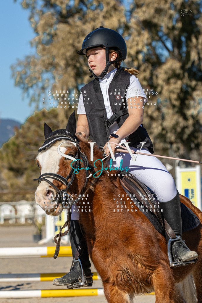 IMG_8165 | s-jay-photography - Realisiert mit Pictrs.com