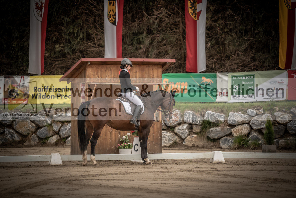 DSC_8169 | equestrian-live-com