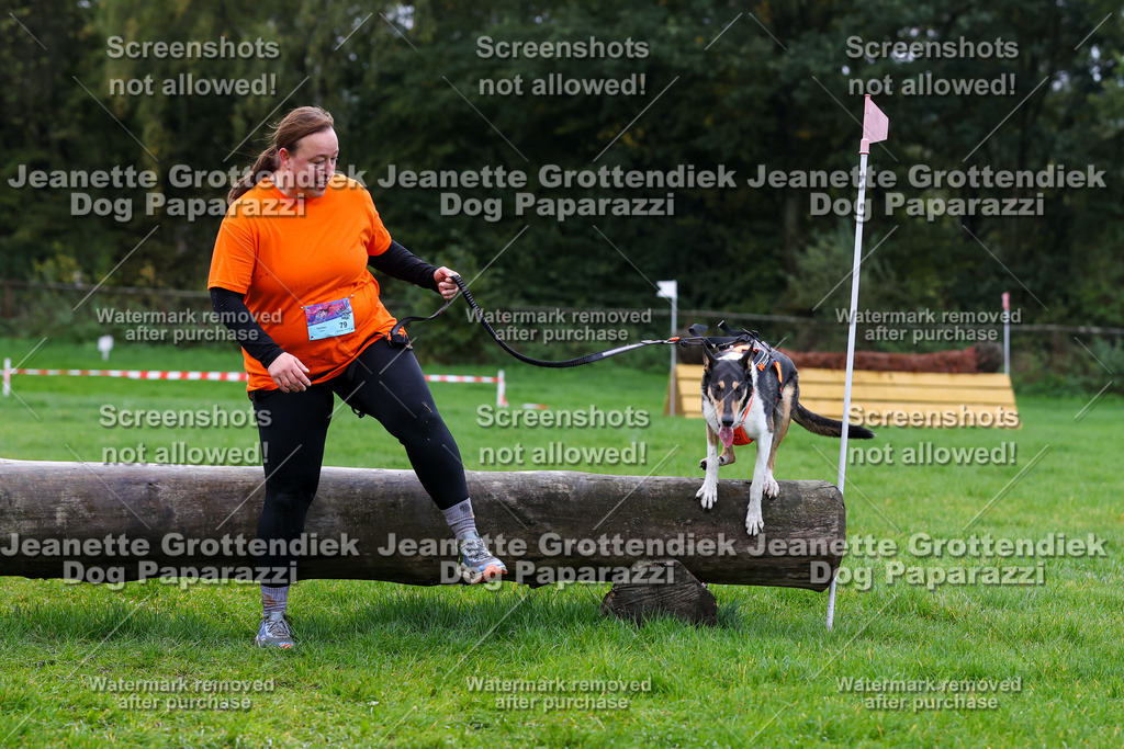 Dog Paparazzi -  SD1026-1260 | Dog Paparazzi Jeanette Grottendiek Fotografie & Videografie - Realisiert mit Pictrs.com