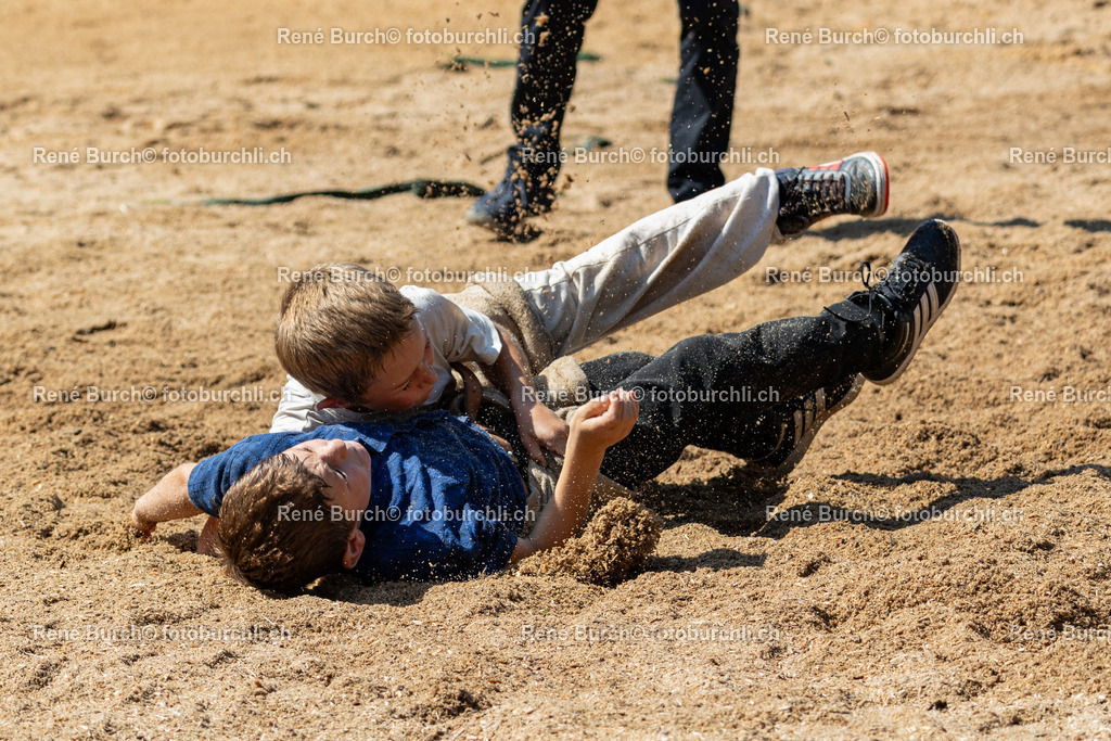 602A0279 | René Burch leidenschaftlicher Fotograf aus Kerns in Obwalden.  Hier finden sie Sport, Landschaft und Natur Fotografie.
 - Realisiert mit Pictrs.com