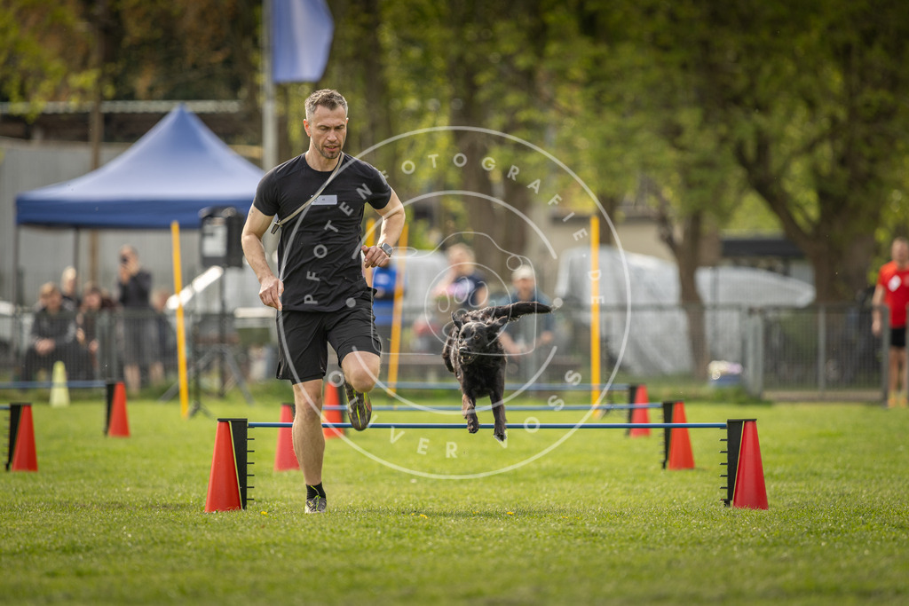 Pfotenfotografie_DV3A5970 | Hundefotografie, Tierfotograf, Pfotenfotografie, Fotoshooting Hund, Hunde Portrait, Hundesport, Hundeportraits, Heideshooting, Hunde, Sportfotograf, Hundefotograf, Turnierhundsport, THS,  - Realisiert mit Pictrs.com