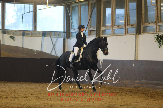 IMG_7432 | Turniersportfotografie; Pferdefotografie; Dressurfotografie