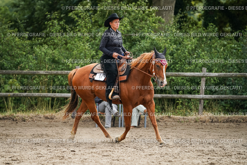 DSC03663 | Pferdegrafie