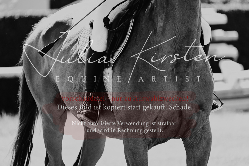 DSC_1242 | Pferde- und Turnierfotografie in Westsachsen. Pferdeportraits, Auftragszeichnungen und intuitive Kunst.