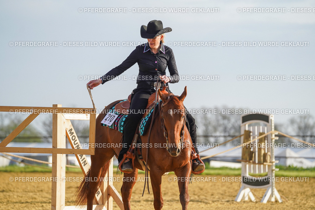 DSC00167 | Pferdegrafie