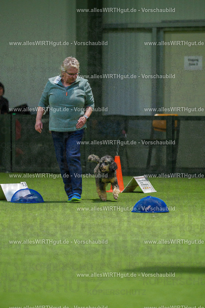 7R504031 | Professionelle Tierfotografie in Mönchengladbach von Daniel Wirth (allesWIRTHgut). Liebevolle & natürliche Bilder von Hunden & Katzen für unvergessliche Erinnerungen.