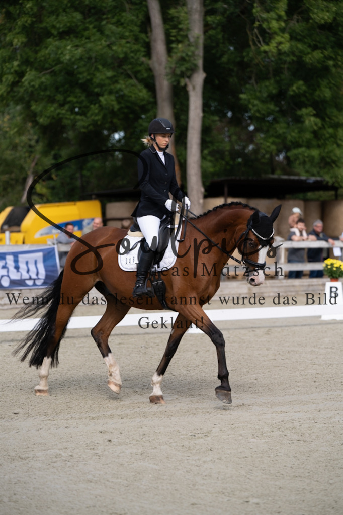 A7V06813 | Turnier/Reitfotograf