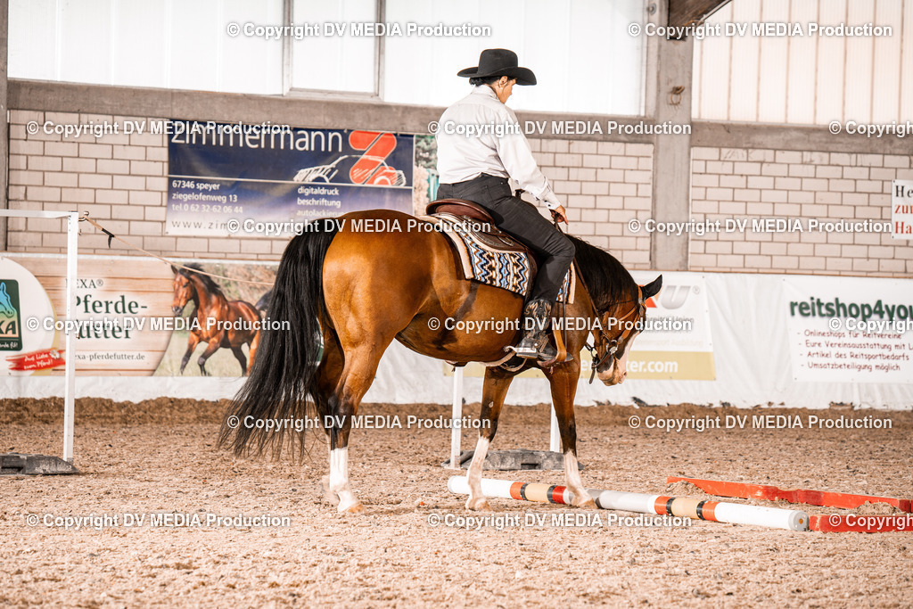 ZH300178 | dv-media-shop - Realisiert mit Pictrs.com