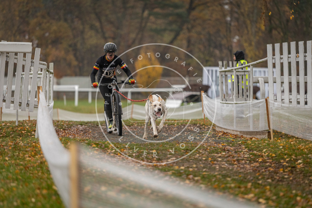 CaniXpix_DV3A7633 | Hundefotografie, Tierfotograf, Pfotenfotografie, Fotoshooting Hund, Hunde Portrait, Hundesport, Hundeportraits, Heideshooting, Hunde, Sportfotograf, Hundefotograf, Turnierhundsport, THS,  - Realisiert mit Pictrs.com