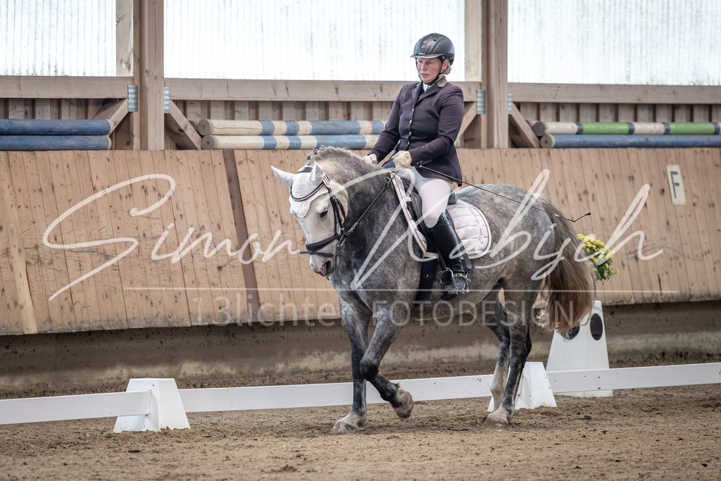 20251011-_3LI9182 | Tierfotografie Pferde, Hunde, Katzen, Haustiere.
Turnierfotografie Reitturniere, Reiten, Springreiten, Dressur in Hanau, dem Main-Kinzig-Kreis und dem Rhein-Main- Gebiet um Frankfurt