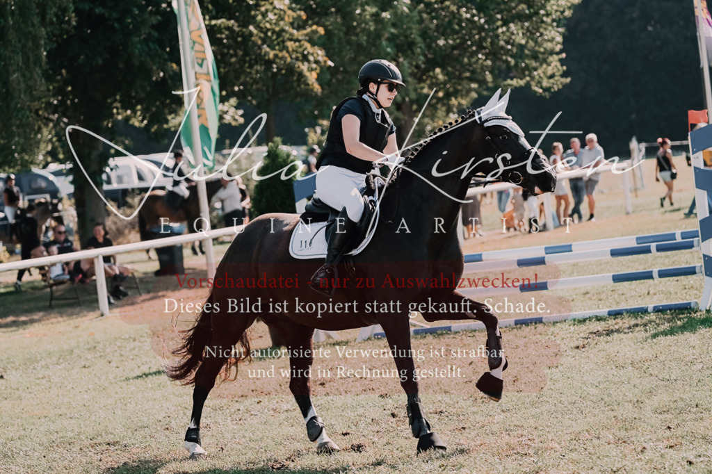 DSC_4828 | Pferde- und Turnierfotografie in Westsachsen. Pferdeportraits, Auftragszeichnungen und intuitive Kunst.