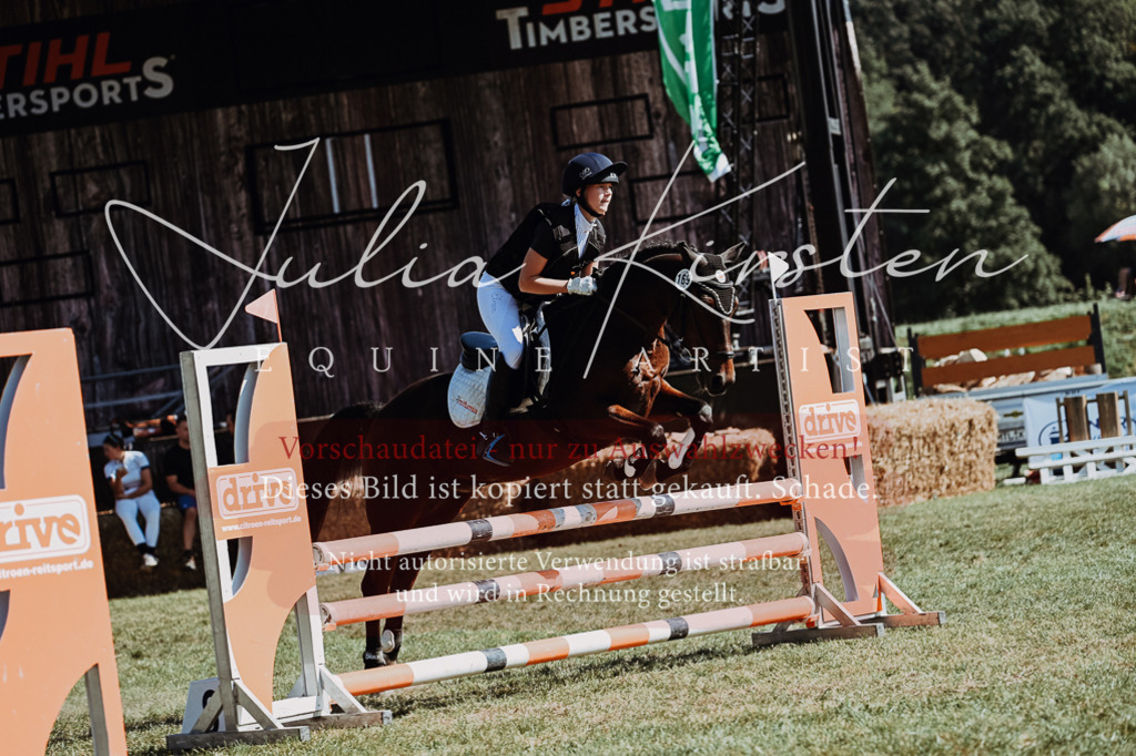 DSC_6665 | Pferde- und Turnierfotografie in Westsachsen. Pferdeportraits, Auftragszeichnungen und intuitive Kunst.