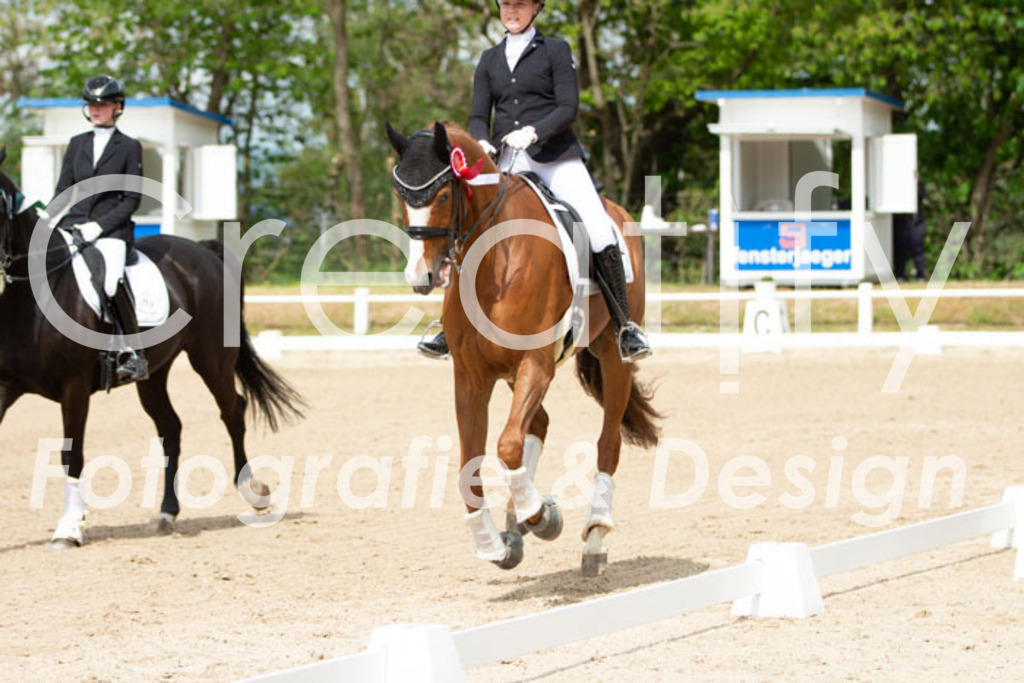 IMG_7038 | Creatify Fotografie