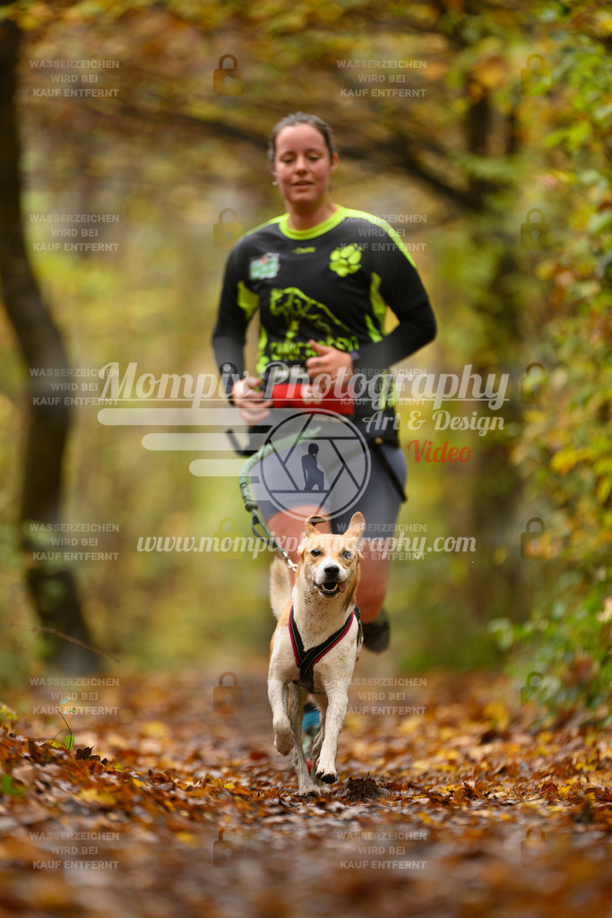 MompixPhotography_CD7S_DI_CCL-34 | mompixphotography