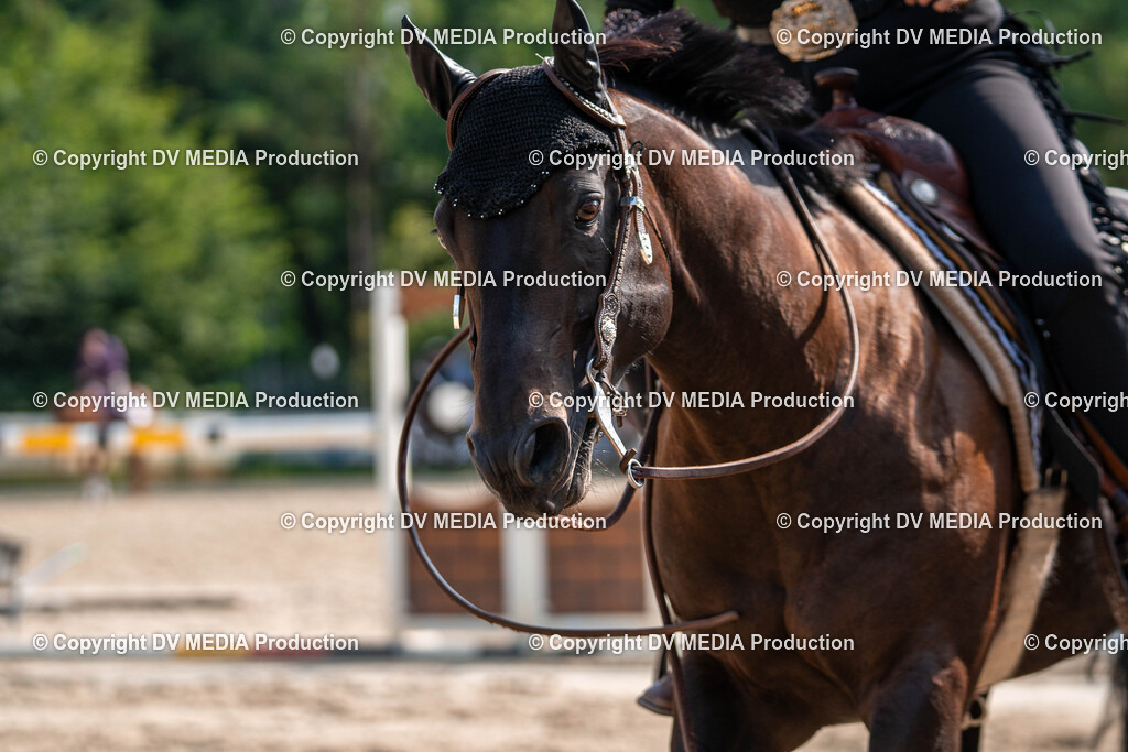 Zeiskam Tag 1-253 | dv-media-shop - Realisiert mit Pictrs.com