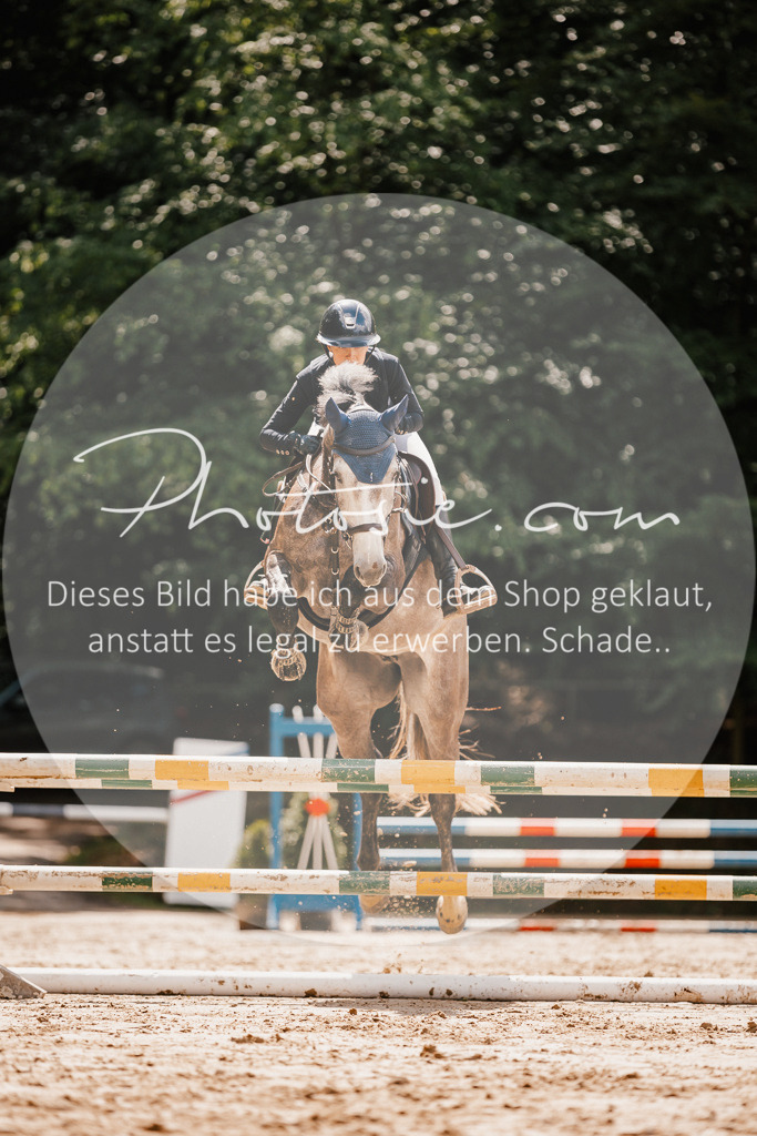 3I6A2367 | Stimmungsvolle Portraits und Reitsportfotografie im Ruhrgebiet und im Münsterland.

Pferdefotografie, Hundefotografie, Tierfotografie, Reportagen, Portraits von Tier und Mensch, Turnierfotografie in Bochum, Recklinghausen, Marl, Haltern am See, Dülmen.. - Realisiert mit Pictrs.com